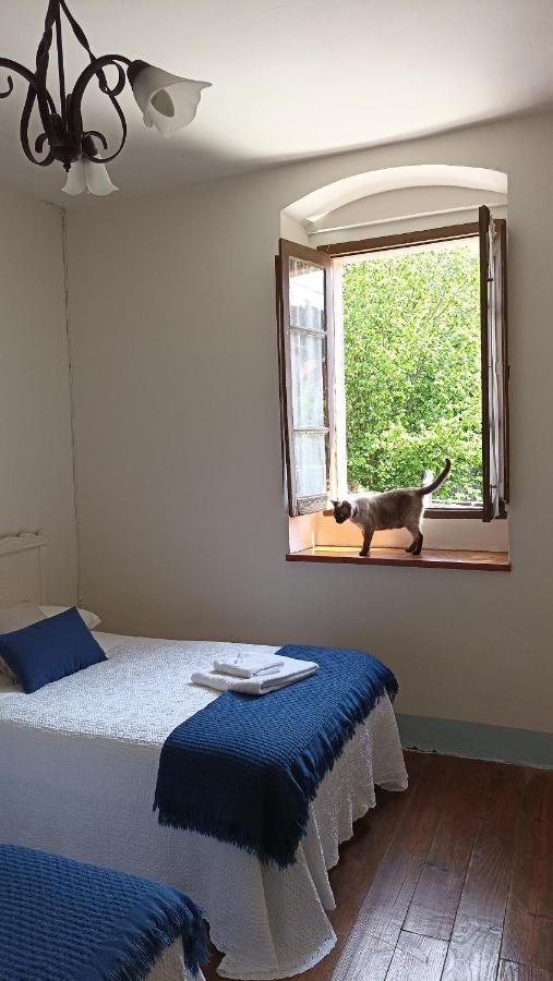 Casa Dolfin - "Tu Hogar En La Costa Del Paraiso" Guest House Navés Eksteriør bilde
